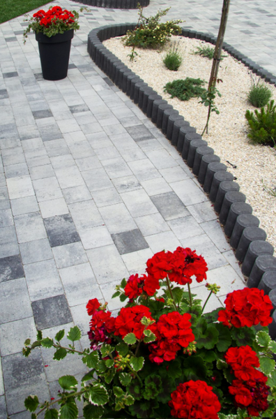 Дуо мита поверхня  id_1011 фото